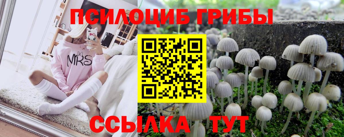 Галлюциногенные грибы ЛСД Евпатория