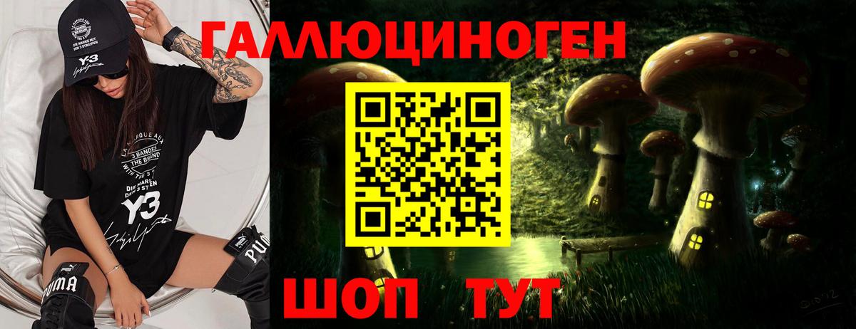 Галлюциногенные грибы Cubensis  Вход с VPN  Евпатория 